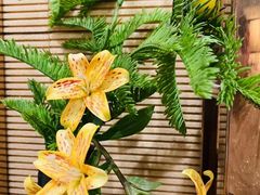 -Dragonfly悠庭·按摩Spa(新乐路店)