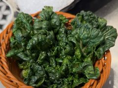 -渔惑·中山脆肉鲩火锅(仁恒梦店)