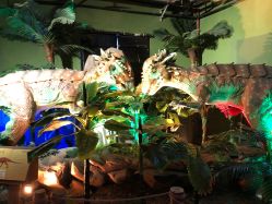 -恐龙探索乐园(磁器口店)