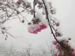 -青州市云门山风景区