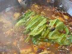 -都江堰石锅鱼