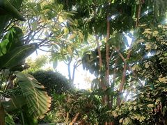 -厦门途易蓝罗约海景温泉酒店(园博苑地铁站店)