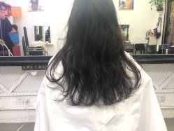 -SALON V
