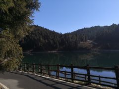 -武陵山森林公园