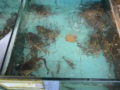 水产区-秋姐美食店(旅游大道店)