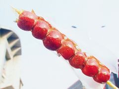 -和禄德冰糖葫芦