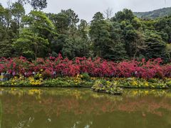 -深圳仙湖植物园
