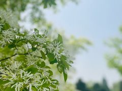 -国家植物园