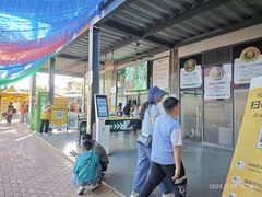 -芦仙山景区-飞越丛林探险乐园