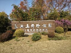 -上海长兴岛郊野公园