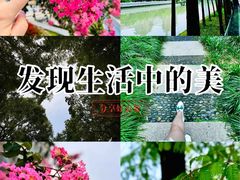 -苏州河梦清园环保主题公园