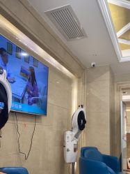 -碧莲盛·不剃发植发