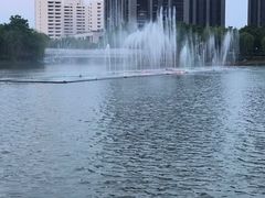 -南翔镇银翔湖公园