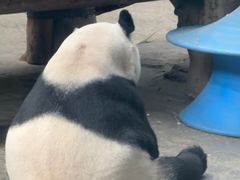 -石家庄市动物园