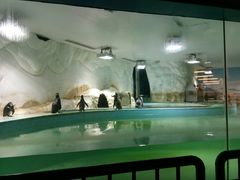 -北戴河圣蓝海洋公园