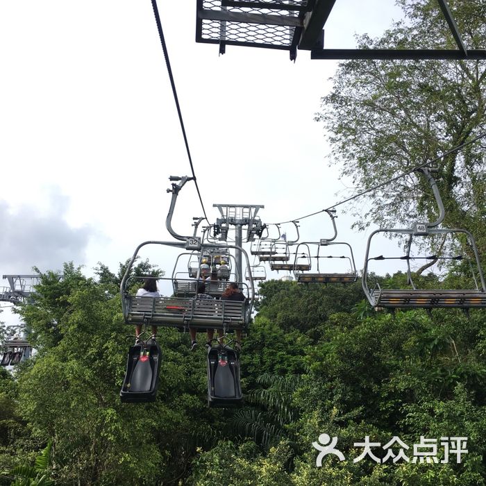 圣淘沙天际线斜坡滑车图片-北京更多景点玩乐-大众点评网