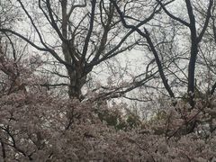 -鲁迅公园