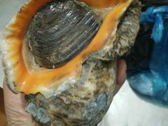 -三乐海鲜水饺馆