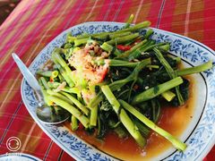 -卷心菜和避孕套餐厅(Pattaya)
