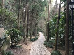 -狼山风景名胜区