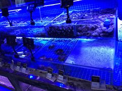 -渔民船说·北塘海鲜·天津菜·海肠捞饭(北塘古镇店)