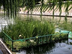 -COMMUNE幻师(天品西岸店)