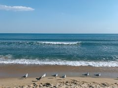 -海云台海滩