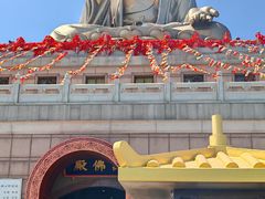 -龙口南山旅游景区