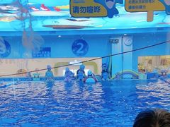 -海帆亲子游泳(顺义店)