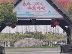 -上海海湾国家森林公园