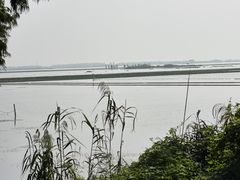 -滆湖低碳生态公园