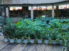 -天怡·鱼工厂(梅溪湖店)