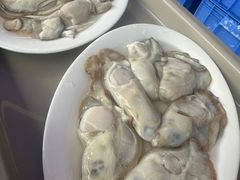 -花苑美食横琴生蚝火锅(拱北粤华路店)
