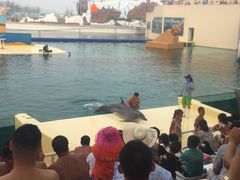 -秦皇岛乐岛海洋王国