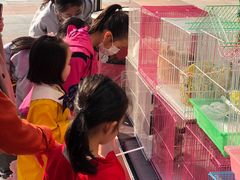 -证大大拇指广场(芳甸路店)