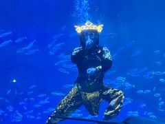 -海合安成都极地海洋公园