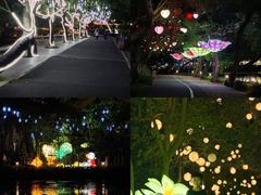 -星湖旅游景区七星岩