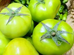 湖北绿番茄-老员外私厨小灶(南宁店)