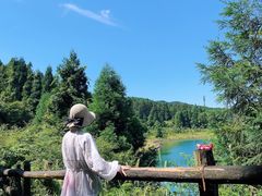 -武陵山森林公园
