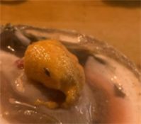 -囧吉香生蚝牛排馆(湖北路店)