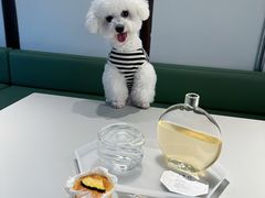 -翊宠yipet猫狗购宠庄园犬舍•猫舍