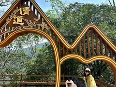 -海南霸王岭国家森林公园