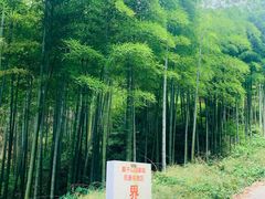 -莫干山风景区