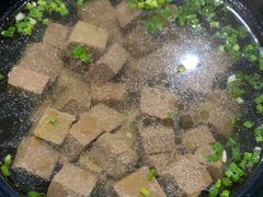-章氏(广粤路店)