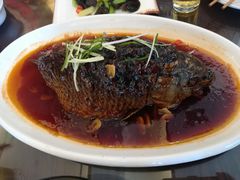 罾蹦鲤鱼-津菜宋记老房子(鼓楼店)