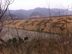 iphone_upload_pic-东海大峡谷