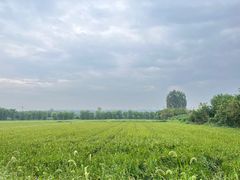 -林间山庄