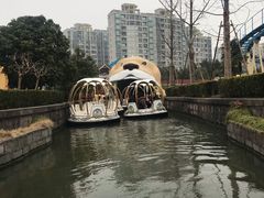 -锦江乐园舞狸花花游园会(夜场专享)