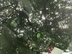 -小晏汽车维修店(华阳店)