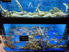 -徐记海鲜·宴会(大唐西市|丰庆店)